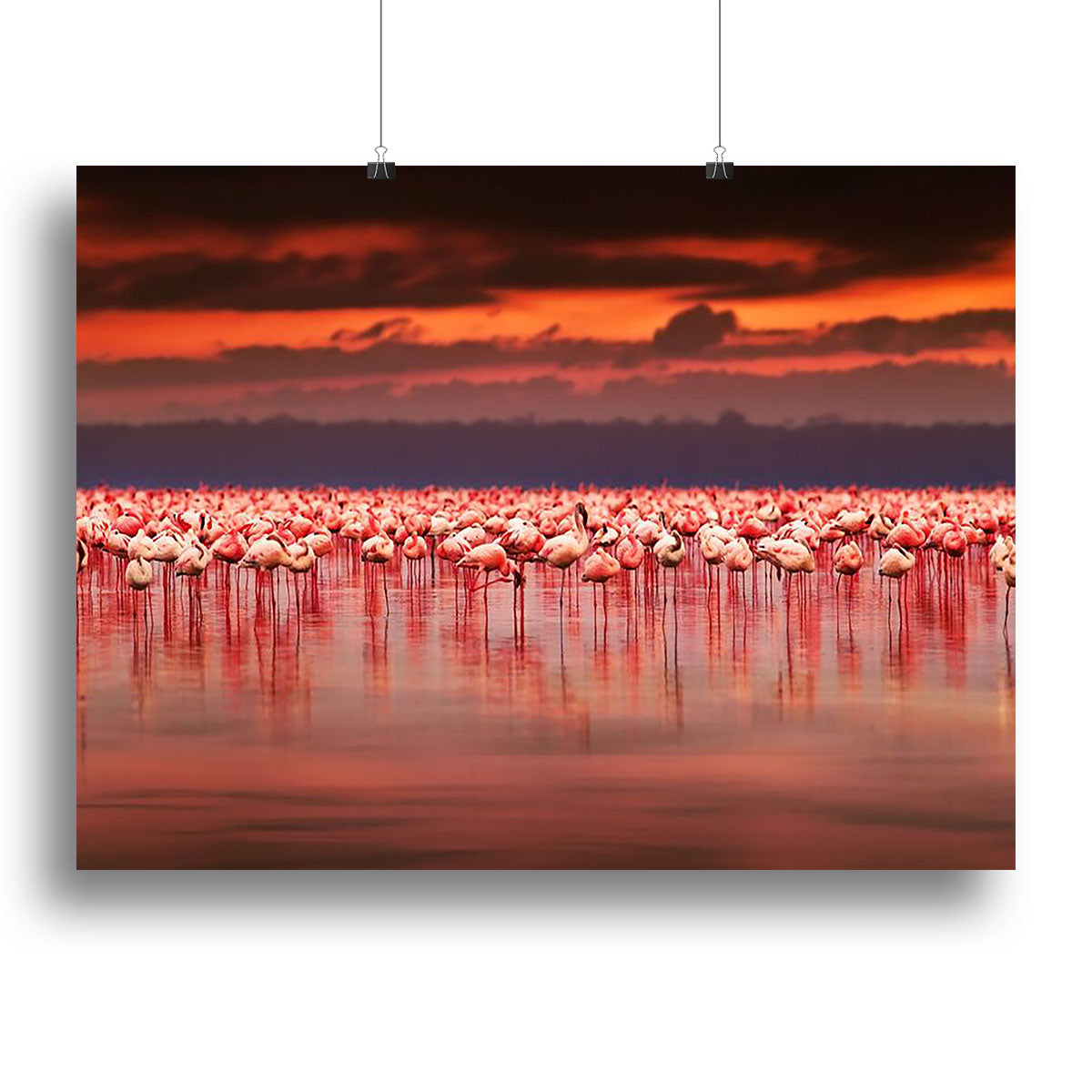 African flamingos in the lake Canvas Print or Poster - Canvas Art Rocks - 2