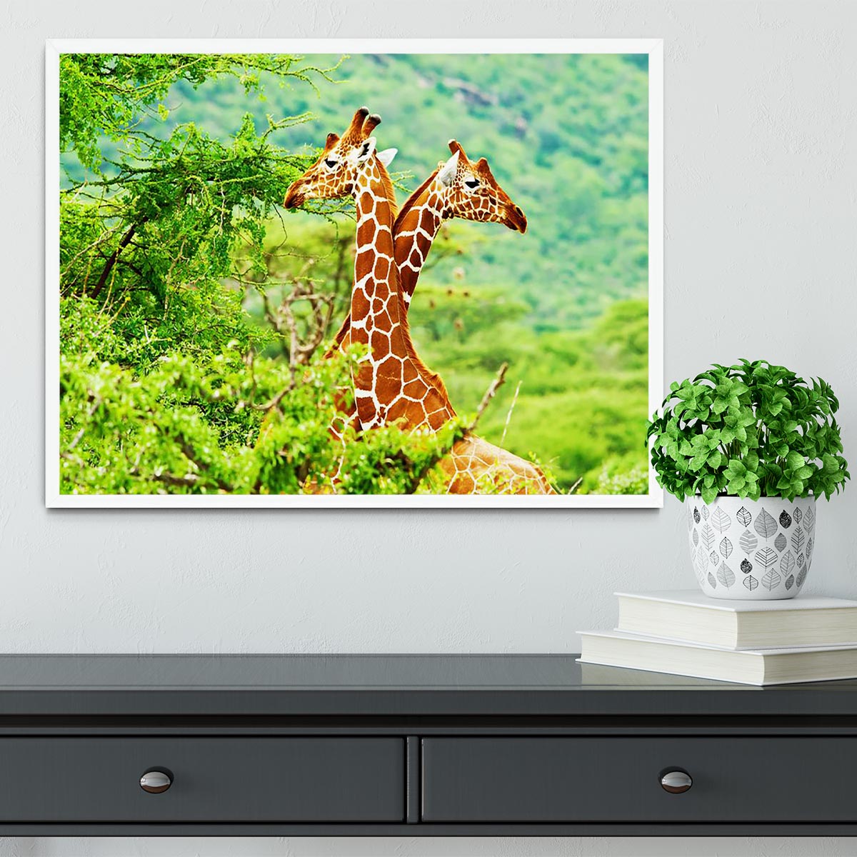 African giraffes family Framed Print - Canvas Art Rocks -6