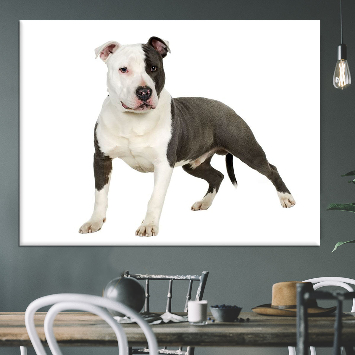 American Staffordshire terrier Canvas Print or Poster - Canvas Art Rocks - 3
