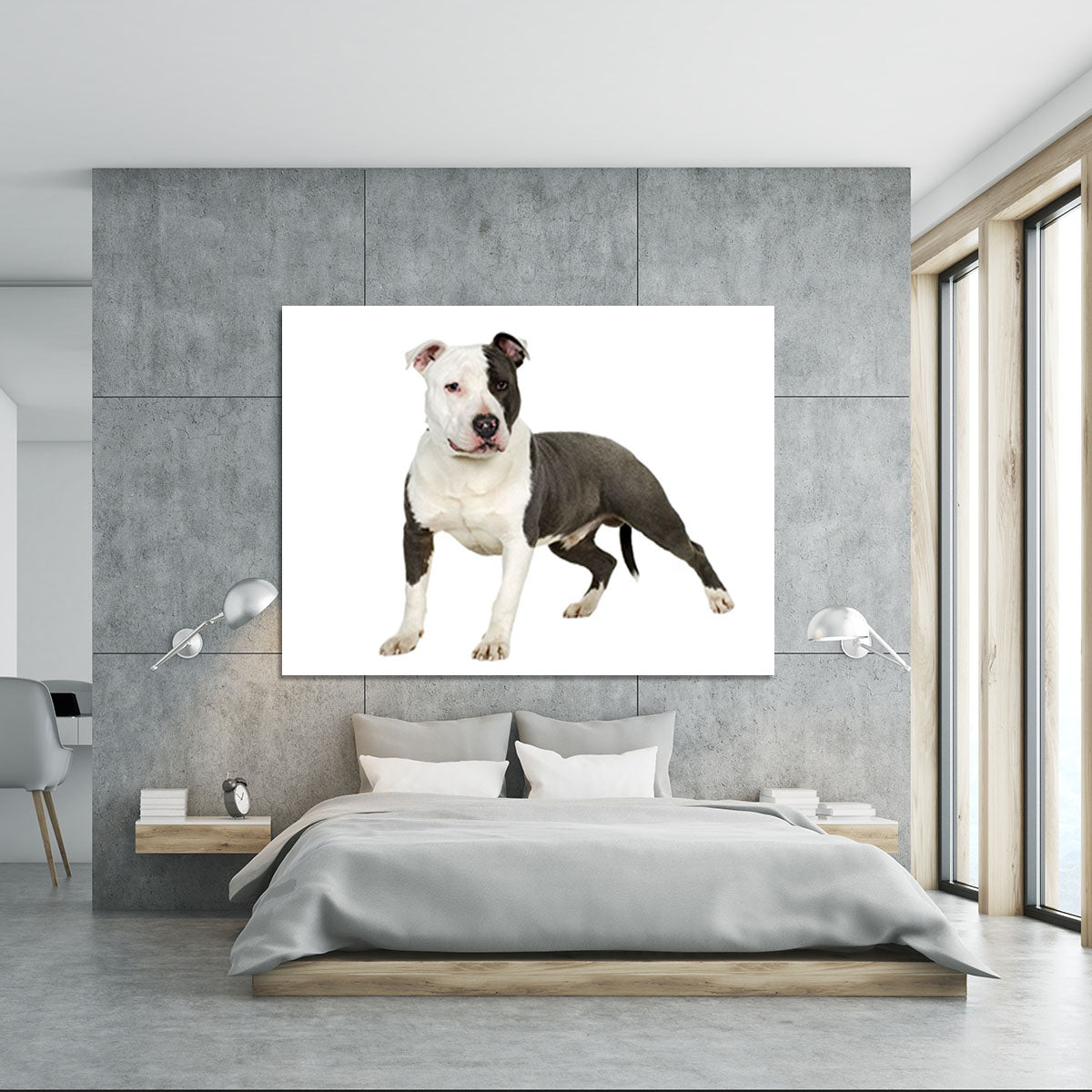 American Staffordshire terrier Canvas Print or Poster - Canvas Art Rocks - 5