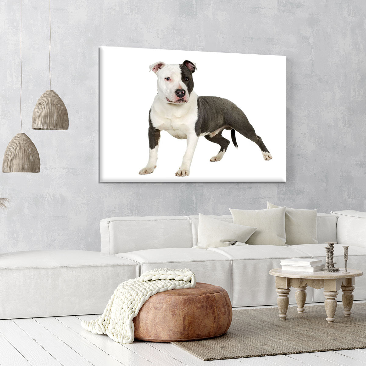 American Staffordshire terrier Canvas Print or Poster - Canvas Art Rocks - 6