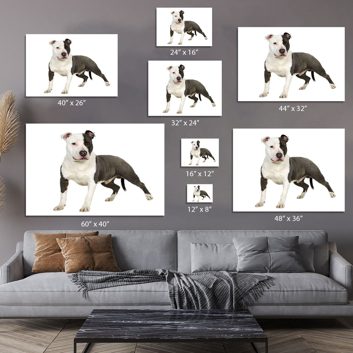 American Staffordshire terrier Canvas Print or Poster - Canvas Art Rocks - 7