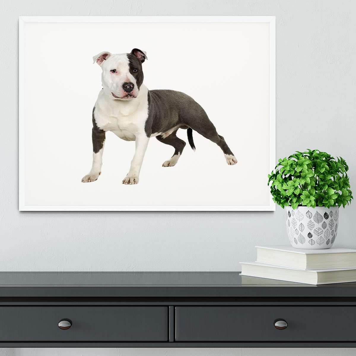 American Staffordshire terrier Framed Print - Canvas Art Rocks - 5