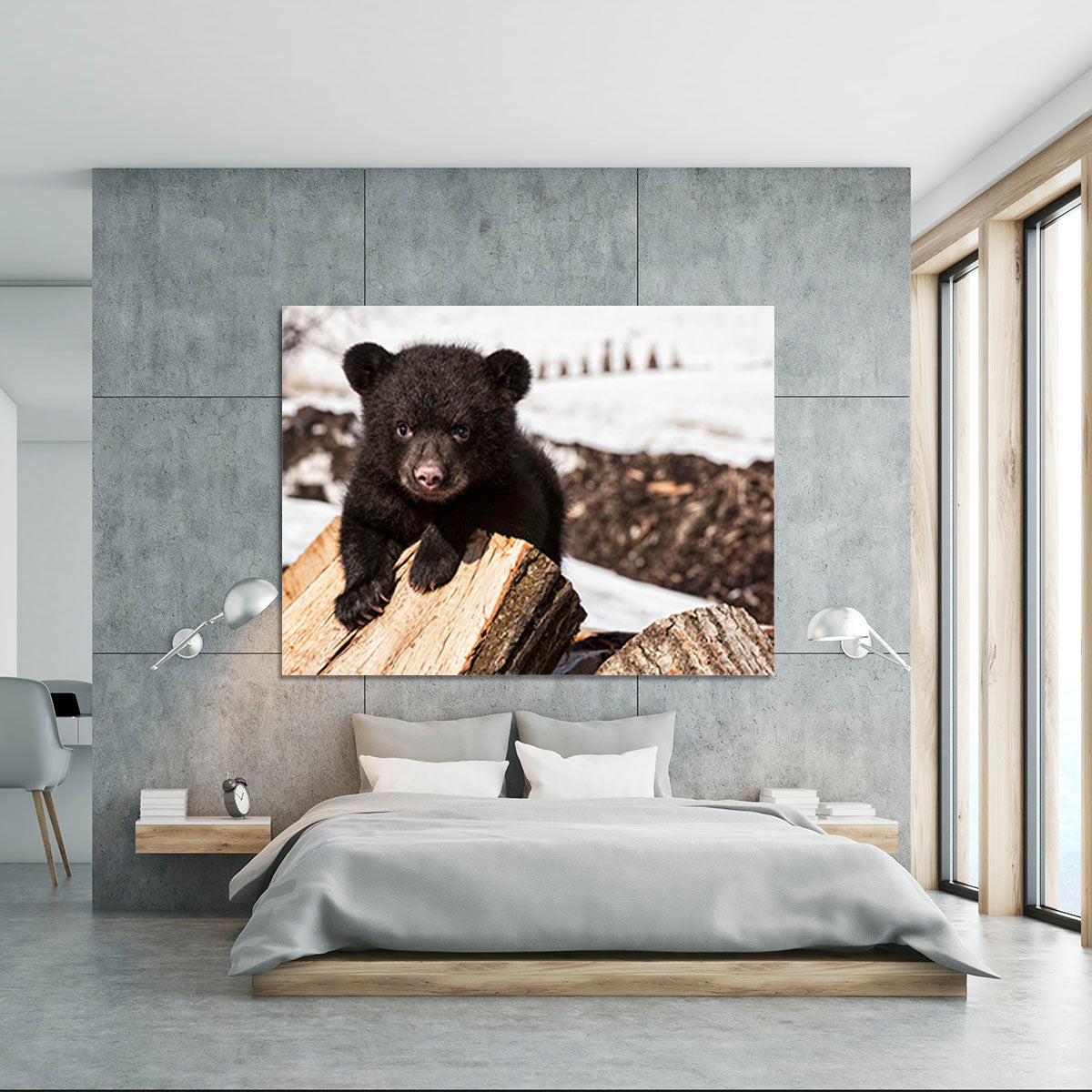 American black bear cub Canvas Print or Poster - Canvas Art Rocks - 5