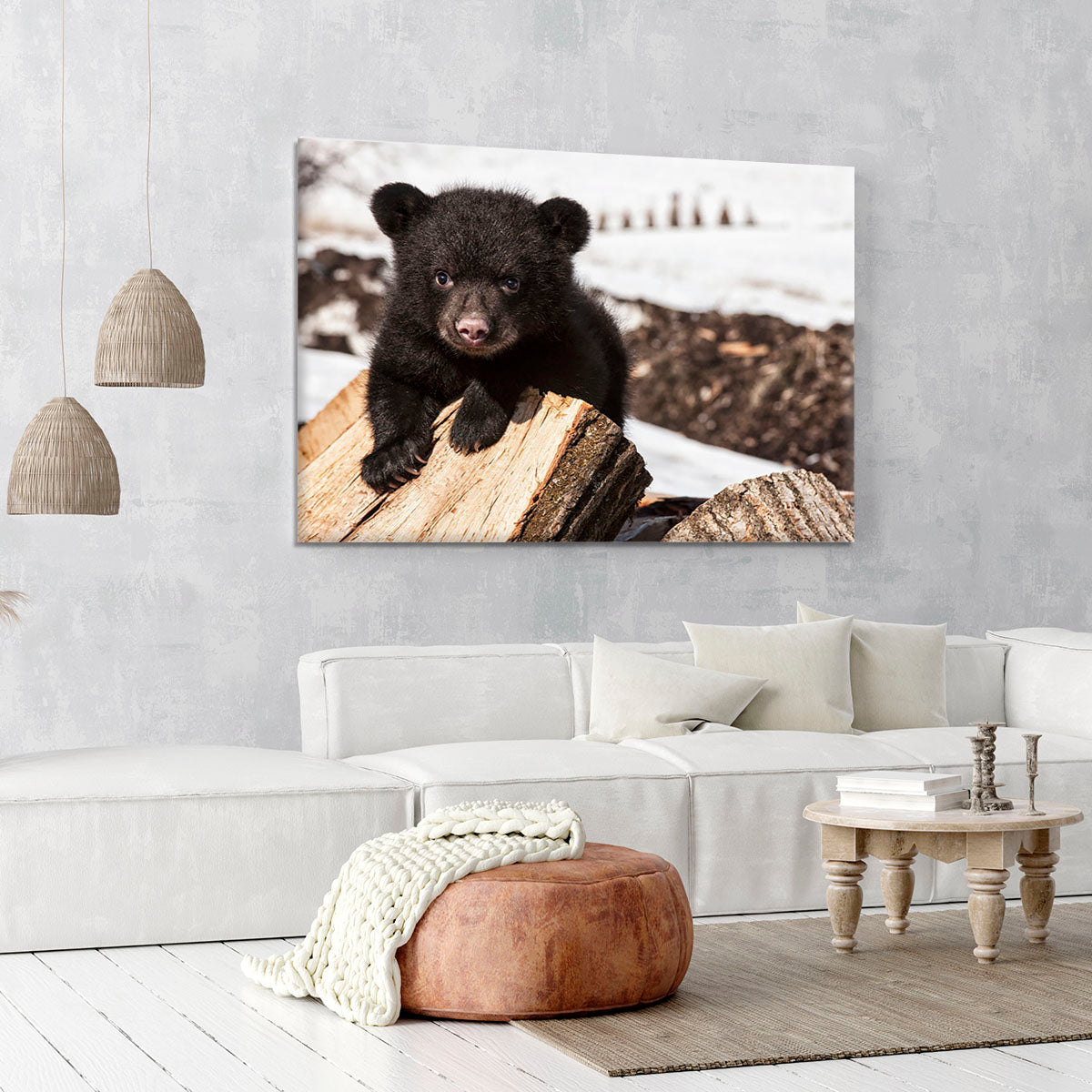 American black bear cub Canvas Print or Poster - Canvas Art Rocks - 6
