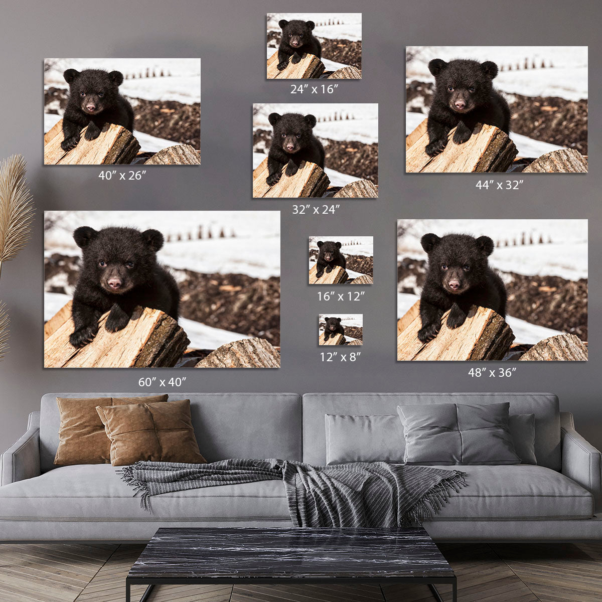 American black bear cub Canvas Print or Poster - Canvas Art Rocks - 7