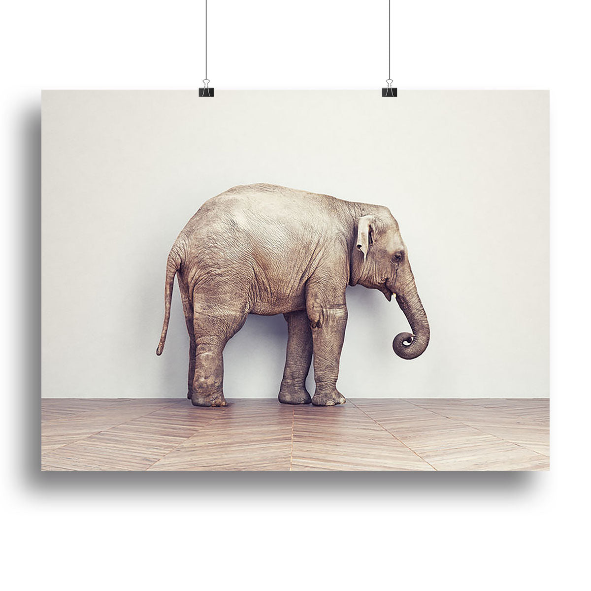 An elephant calm in the room near white wall. Creative concept Canvas Print or Poster - Canvas Art Rocks - 2