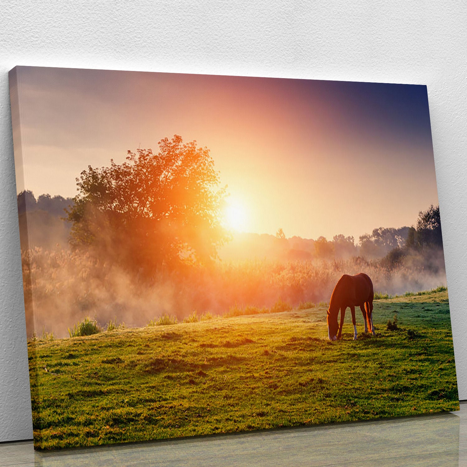 Arabian horses grazing on pasture at sundown in orange sunny beams Canvas Print or Poster - Canvas Art Rocks - 1