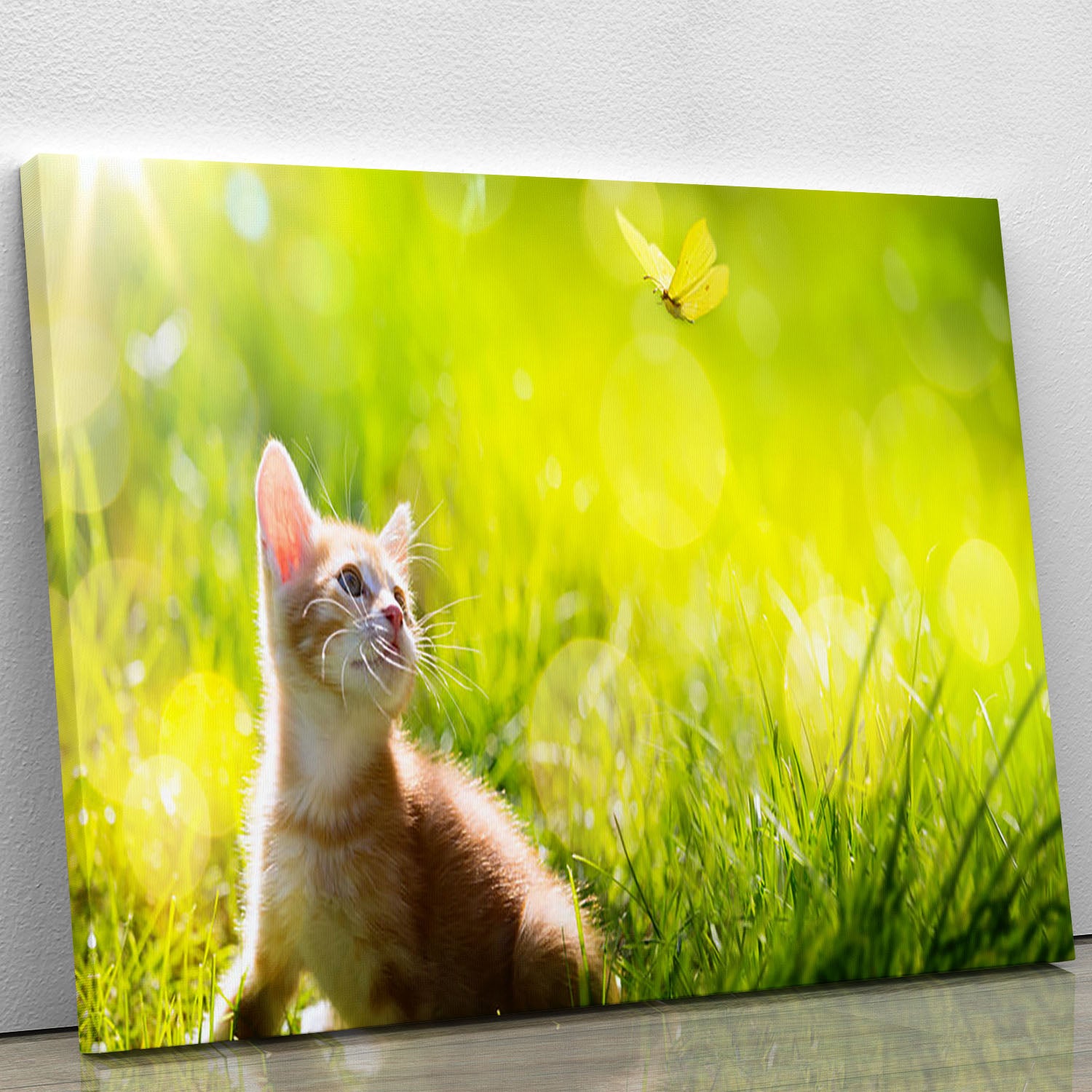 Art little ginger kitten outdoors Canvas Print or Poster - Canvas Art Rocks - 1