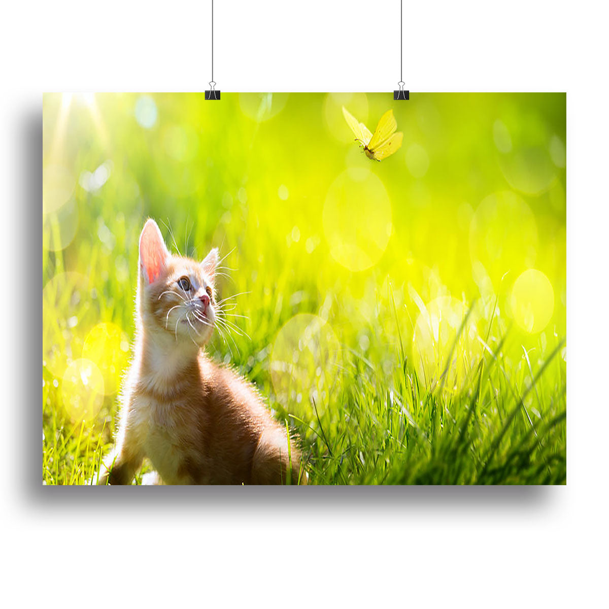 Art little ginger kitten outdoors Canvas Print or Poster - Canvas Art Rocks - 2