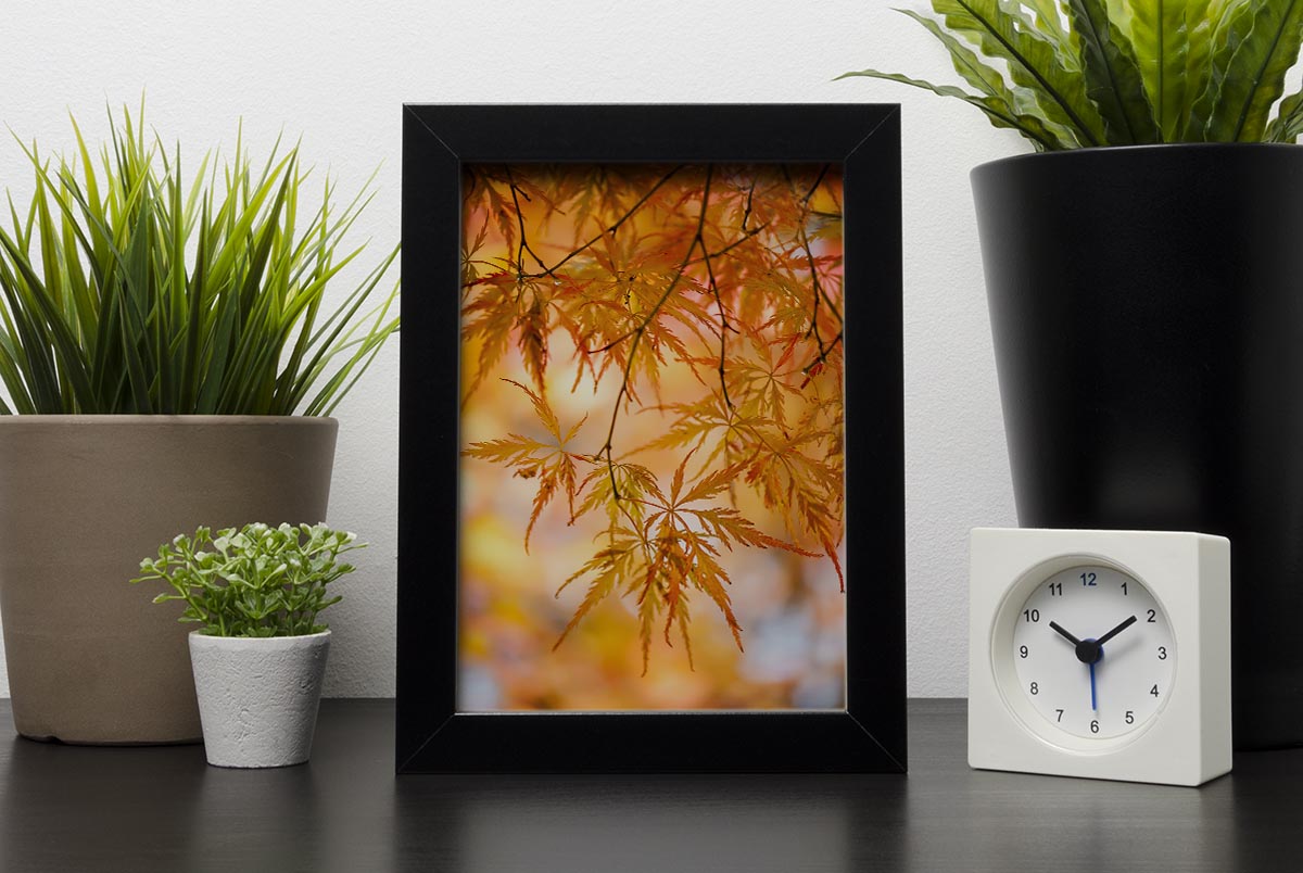 Autumn Leaves Framed Print - Canvas Art Rocks - 2