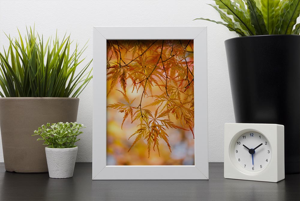 Autumn Leaves Framed Print - Canvas Art Rocks - 4