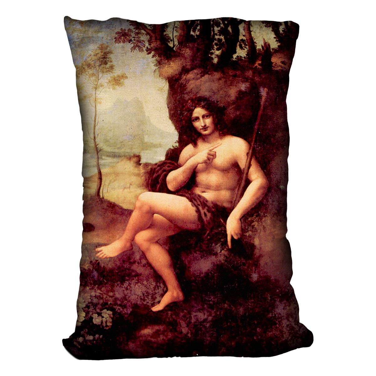 Bacchus by Da Vinci Cushion