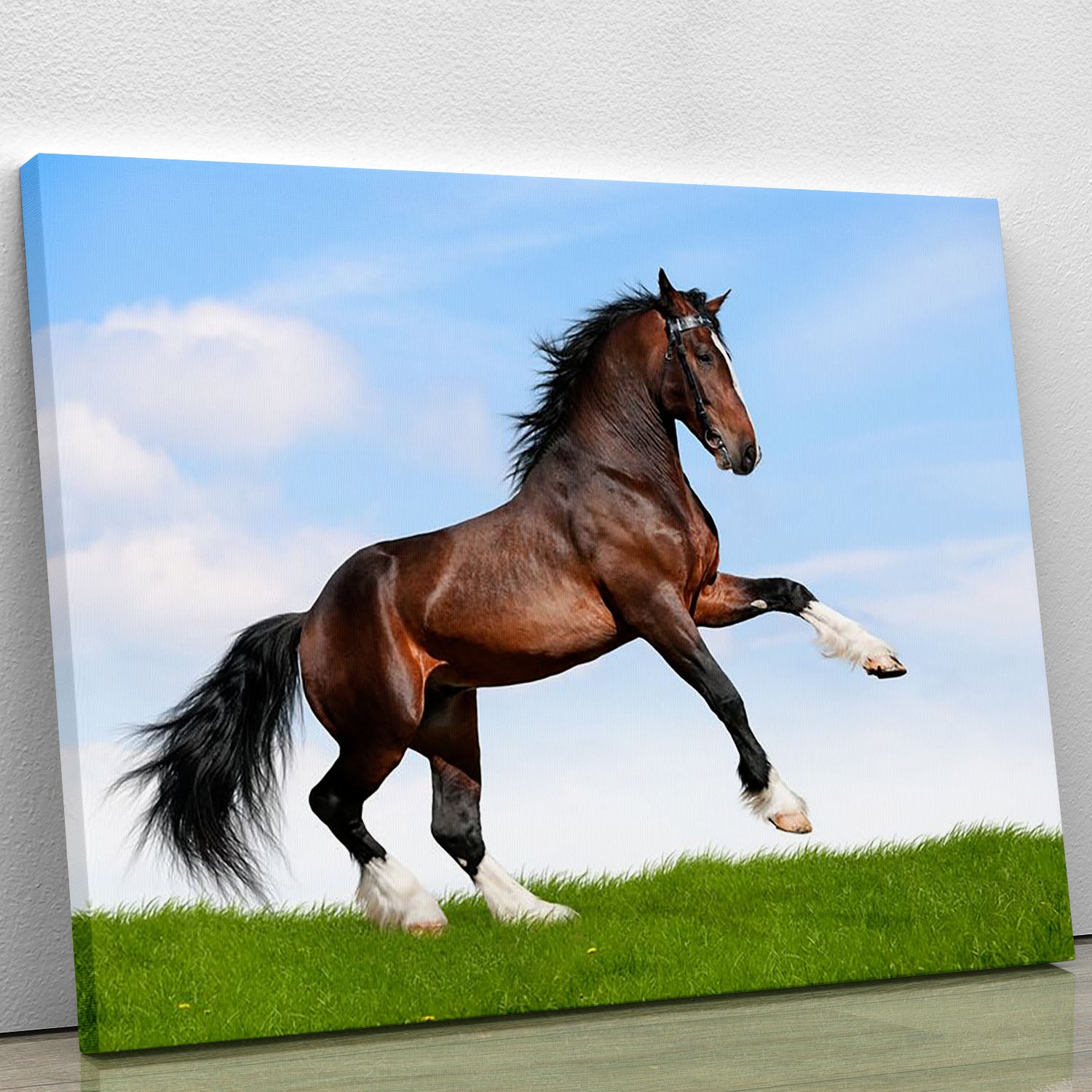 Bay horse running in field Canvas Print or Poster - Canvas Art Rocks - 1