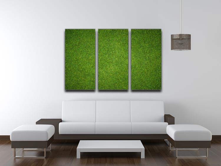 Beautiful green grass 3 Split Panel Canvas Print - Canvas Art Rocks - 3