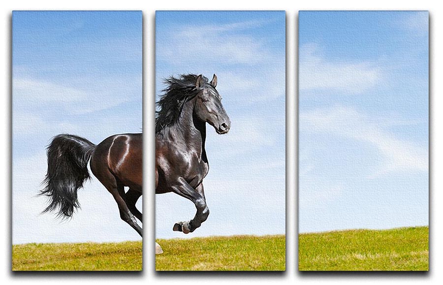 Black Kladruby horse rung gallop 3 Split Panel Canvas Print - Canvas Art Rocks - 1