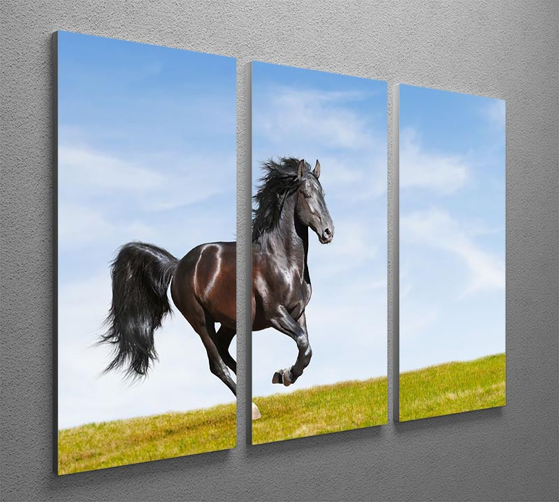 Black Kladruby horse rung gallop 3 Split Panel Canvas Print - Canvas Art Rocks - 2