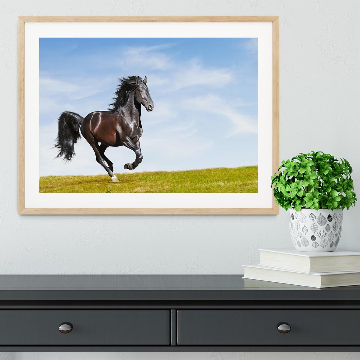 Black Kladruby horse rung gallop Framed Print - Canvas Art Rocks - 3