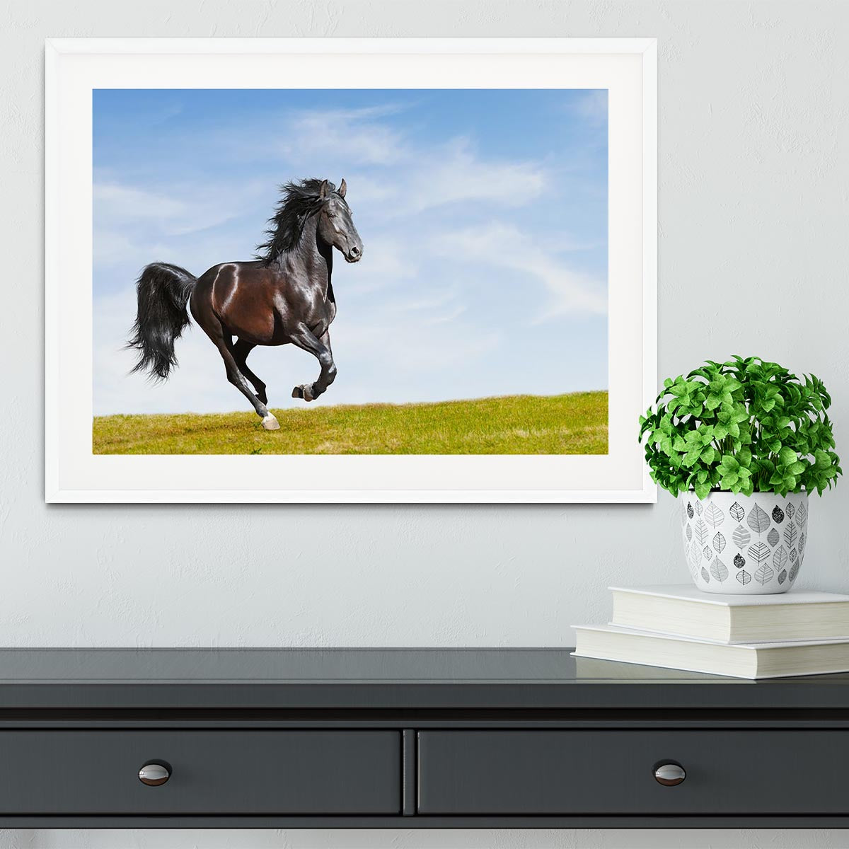 Black Kladruby horse rung gallop Framed Print - Canvas Art Rocks - 5