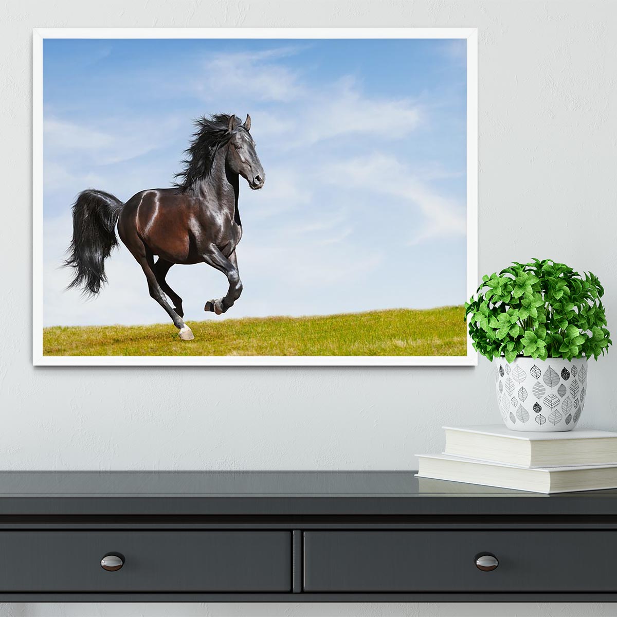 Black Kladruby horse rung gallop Framed Print - Canvas Art Rocks -6