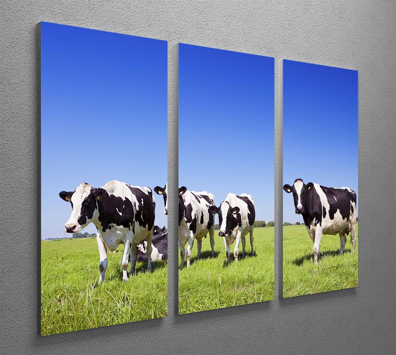 Black and white cows in a grassy field 3 Split Panel Canvas Print - Canvas Art Rocks - 2