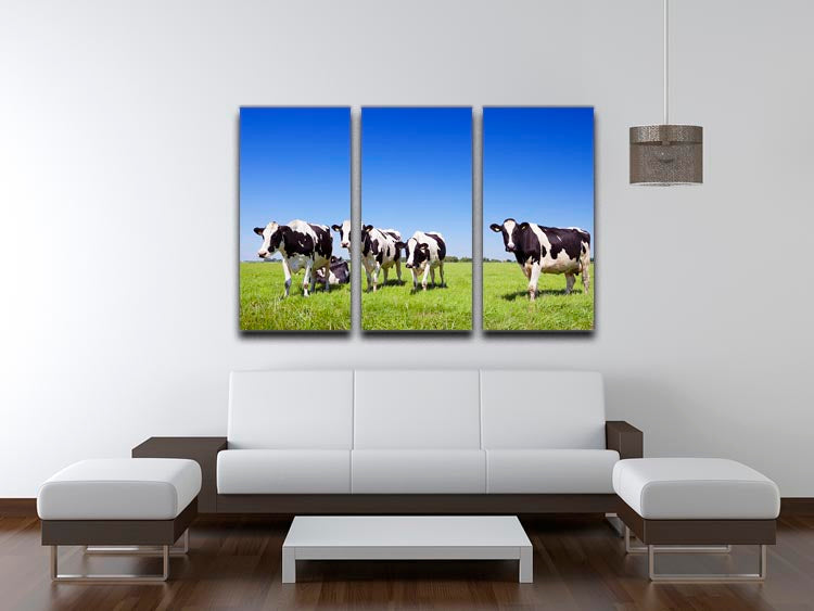 Black and white cows in a grassy field 3 Split Panel Canvas Print - Canvas Art Rocks - 3