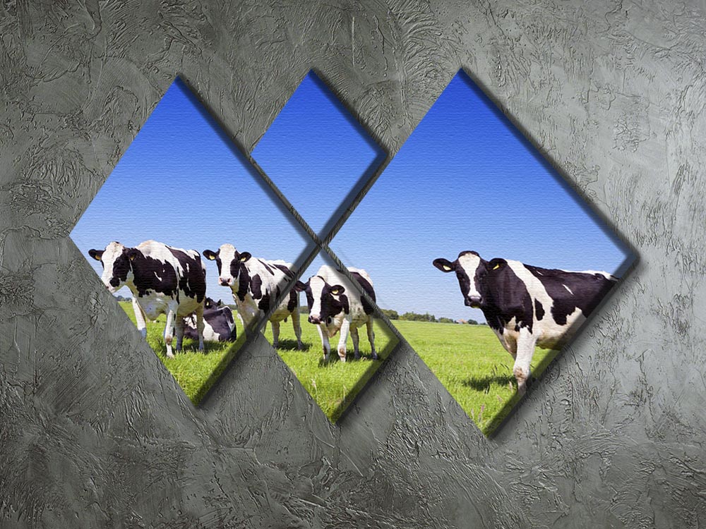 Black and white cows in a grassy field 4 Square Multi Panel Canvas - Canvas Art Rocks - 2