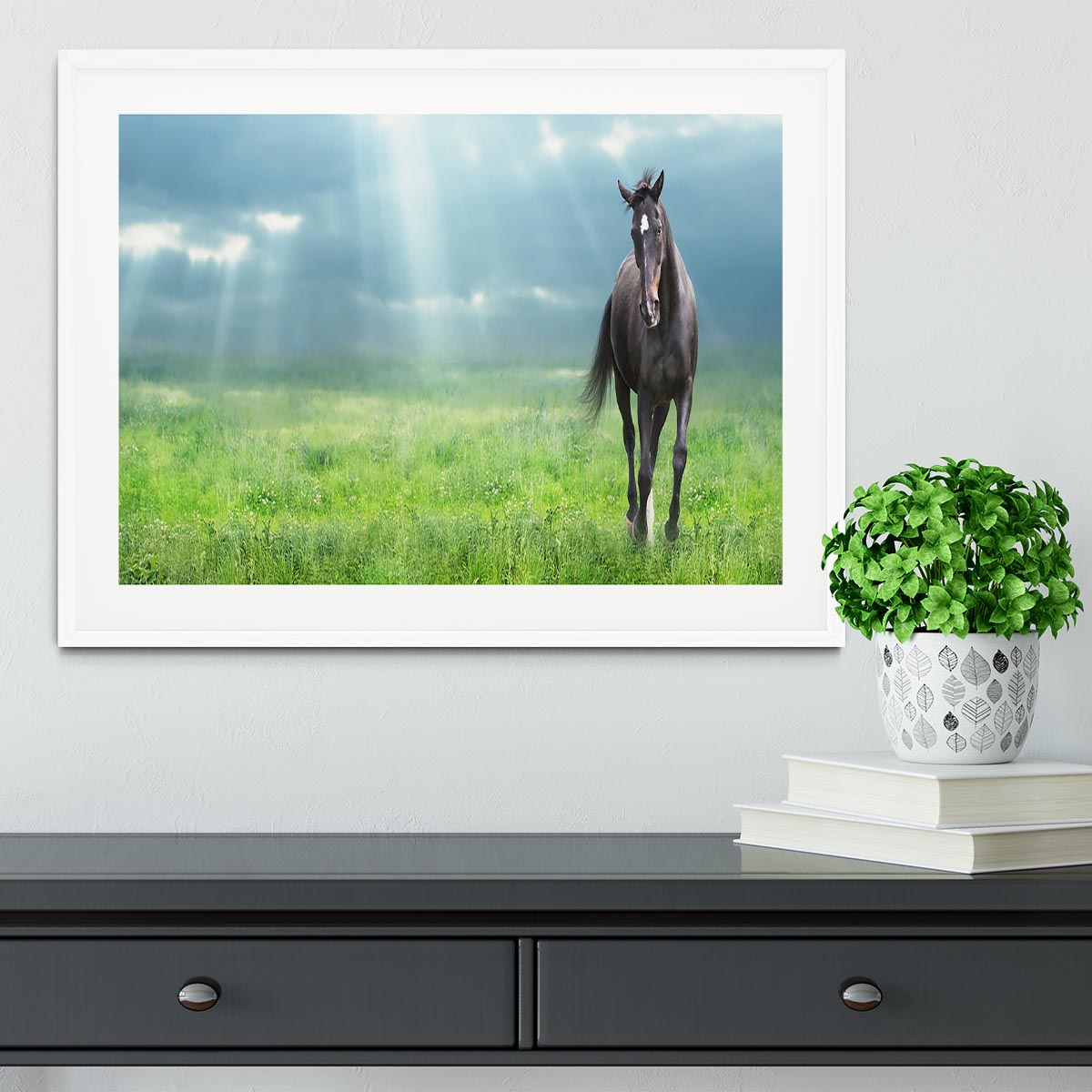 Black horse running Framed Print - Canvas Art Rocks - 5