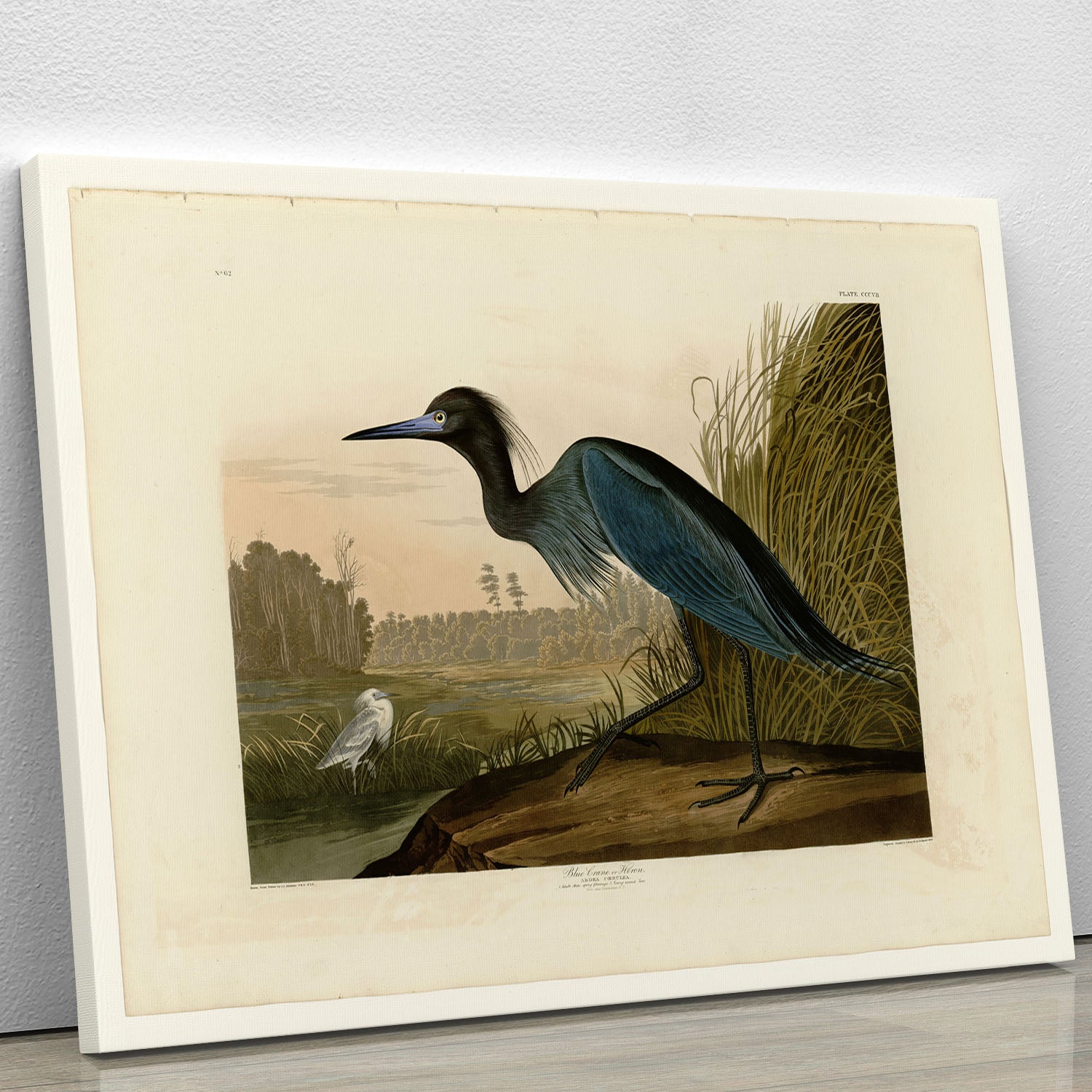 Blue Crane by Audubon Canvas Print or Poster - Canvas Art Rocks - 1