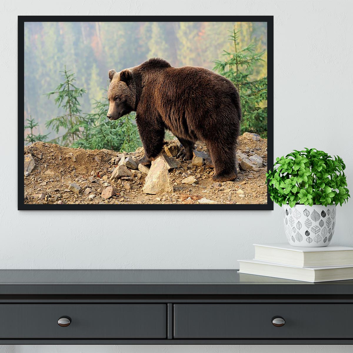 Brown Bear in forest Framed Print - Canvas Art Rocks - 2