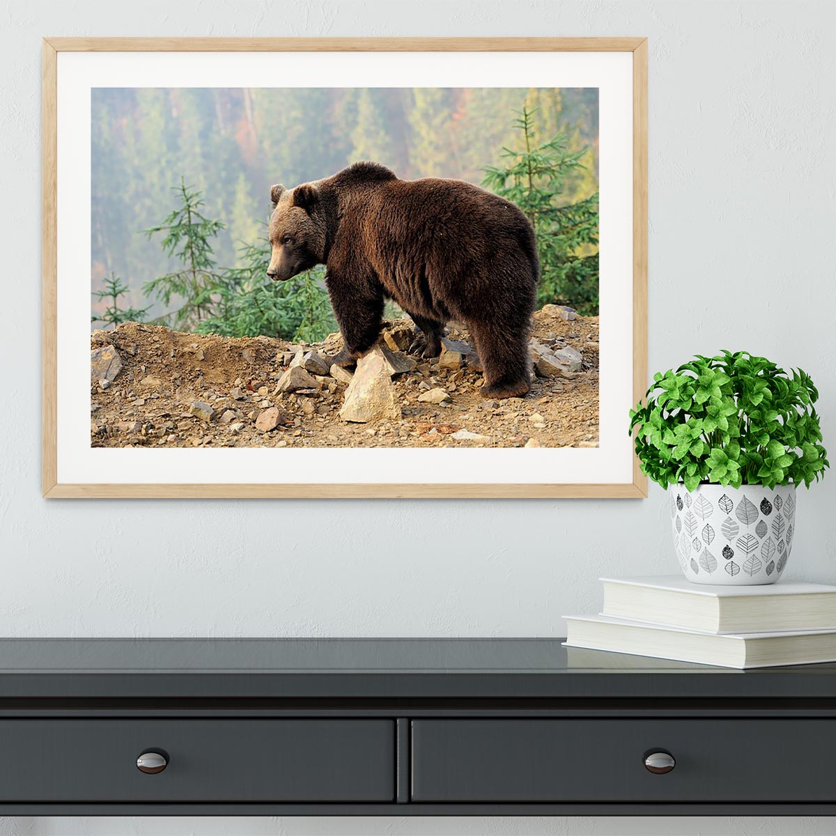 Brown Bear in forest Framed Print - Canvas Art Rocks - 3