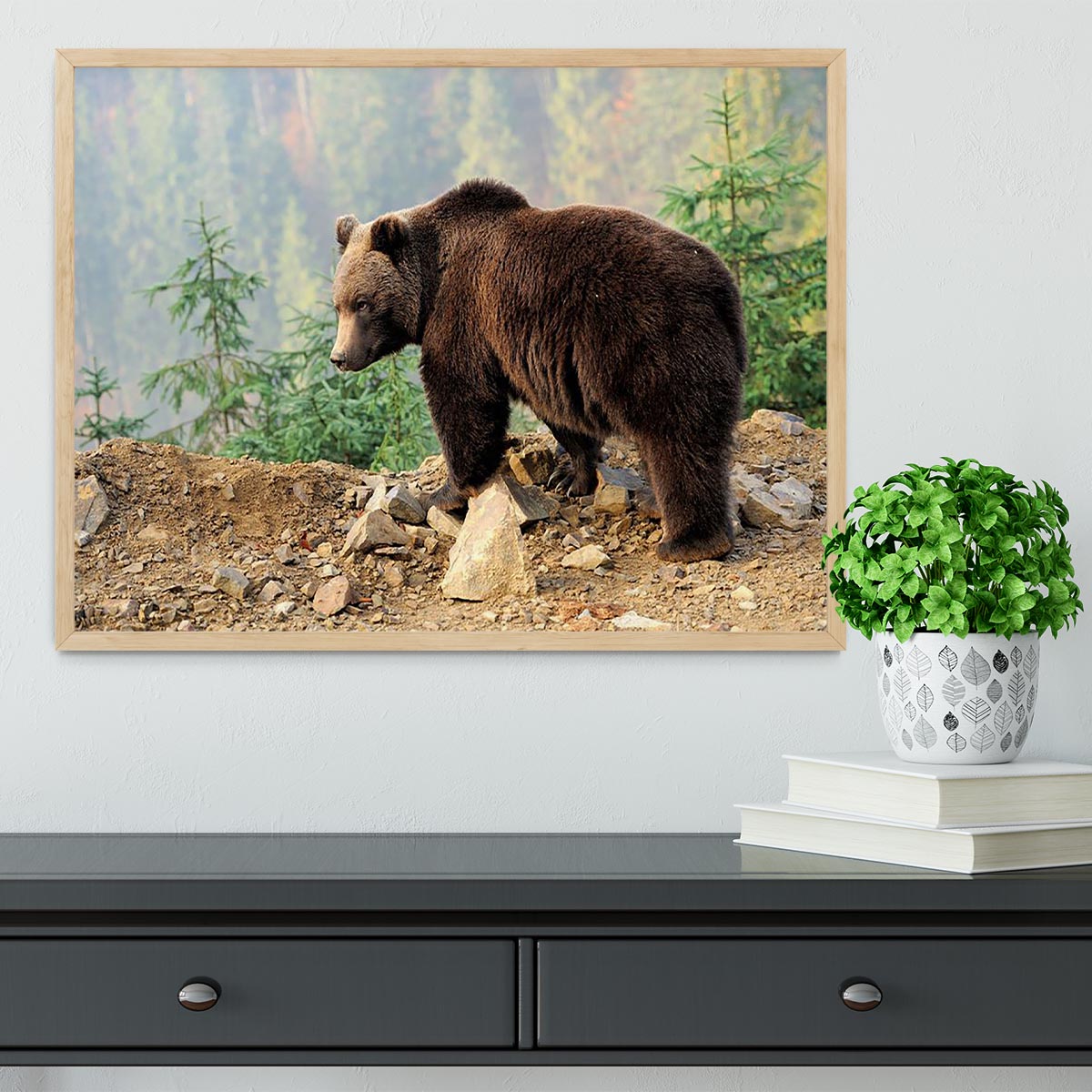 Brown Bear in forest Framed Print - Canvas Art Rocks - 4