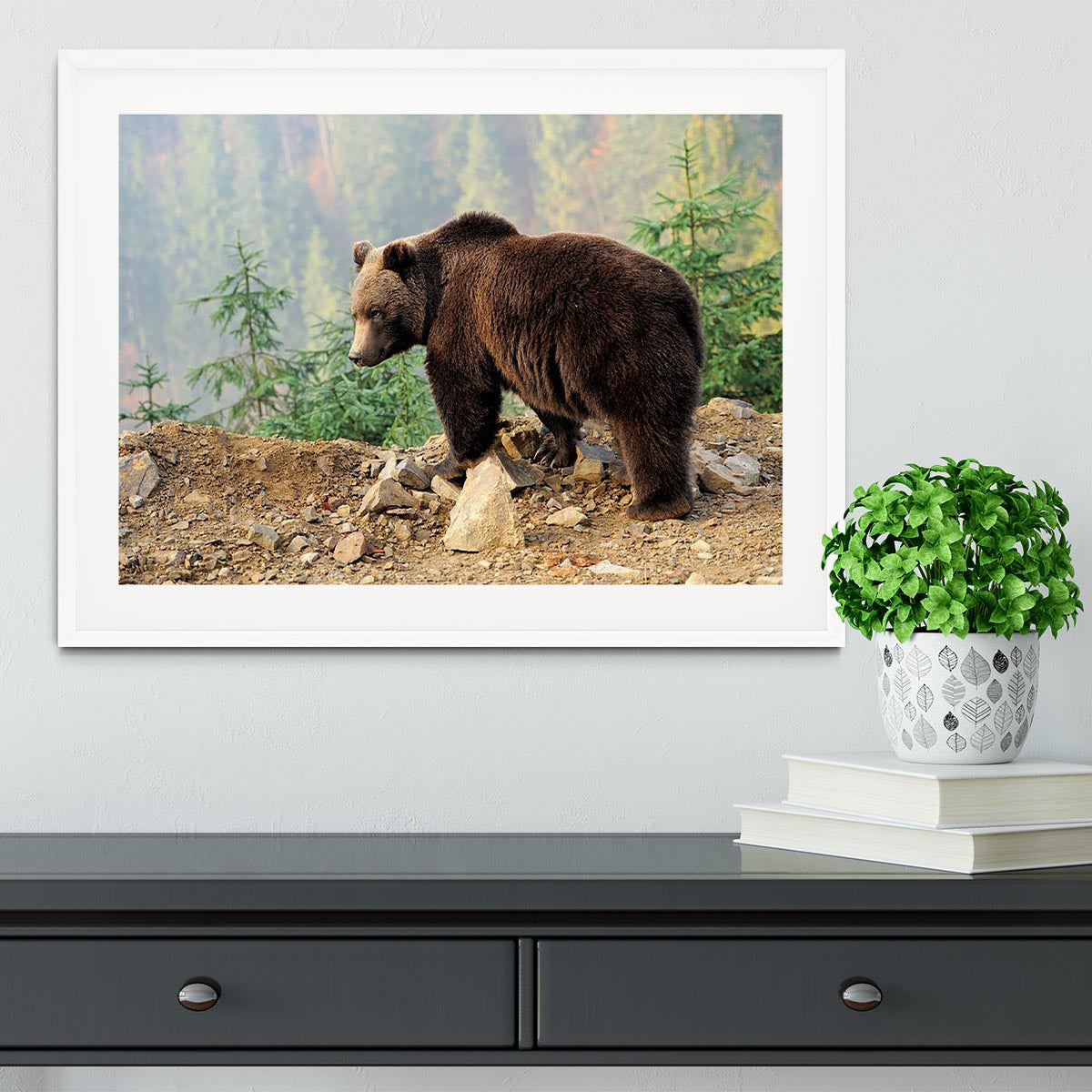 Brown Bear in forest Framed Print - Canvas Art Rocks - 5