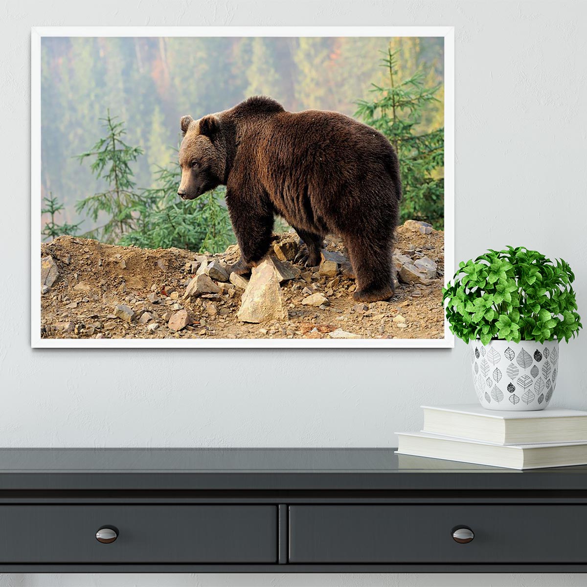 Brown Bear in forest Framed Print - Canvas Art Rocks -6