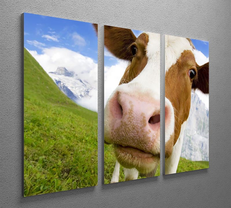 Brown and white cow in alps 3 Split Panel Canvas Print - Canvas Art Rocks - 2