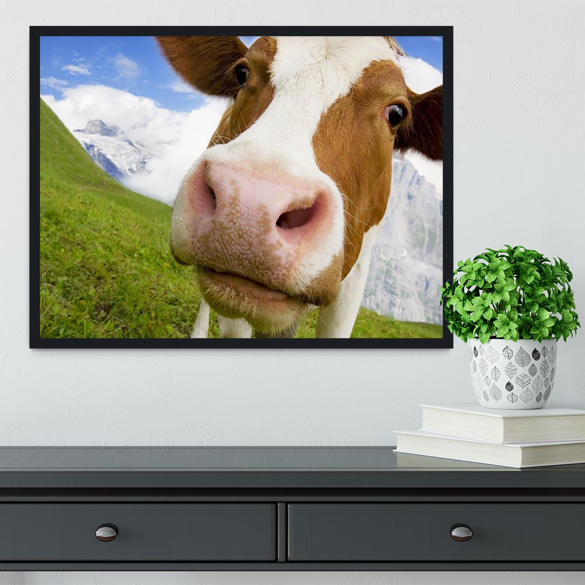 Brown and white cow in the alps Framed Print - Canvas Art Rocks - 2