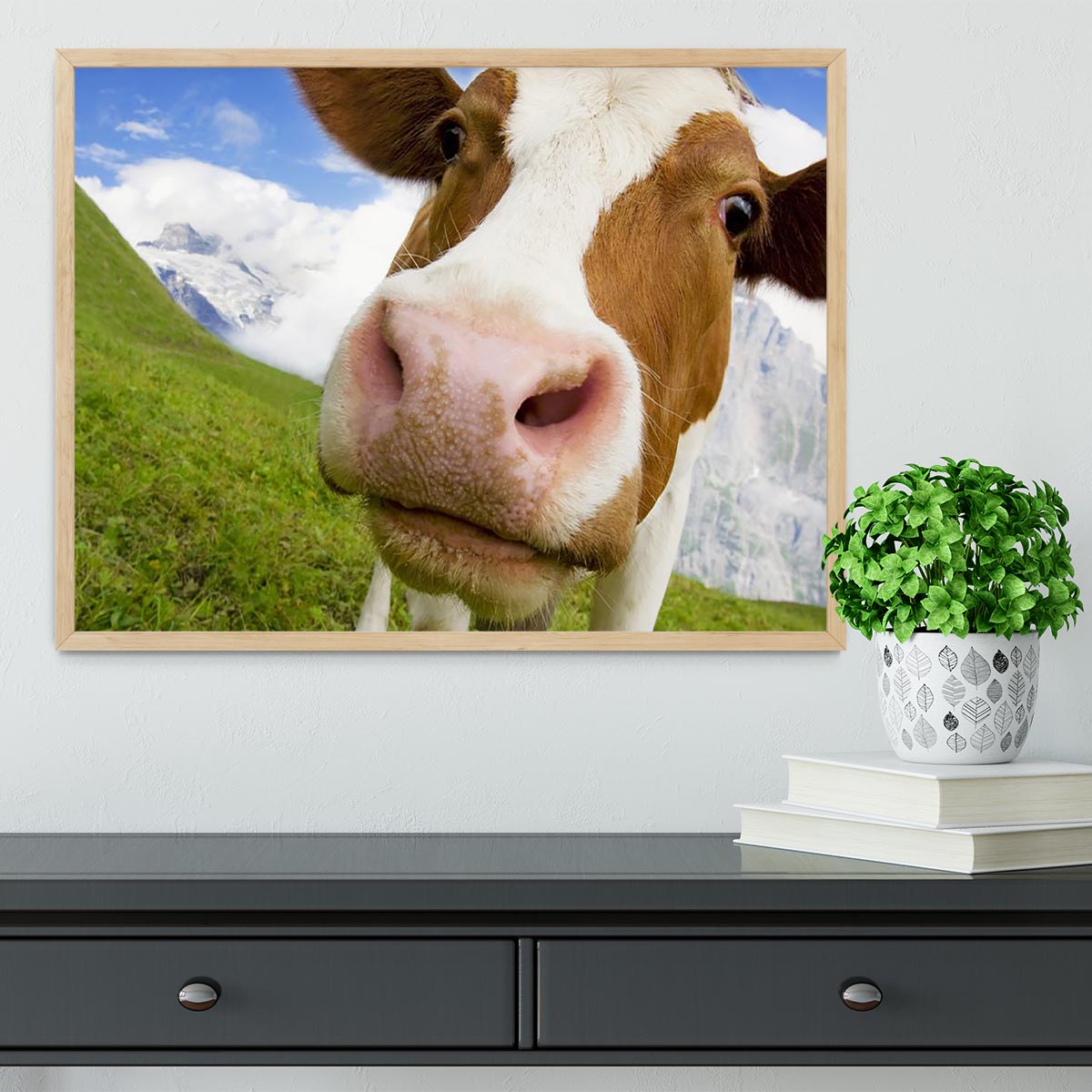 Brown and white cow in the alps Framed Print - Canvas Art Rocks - 4