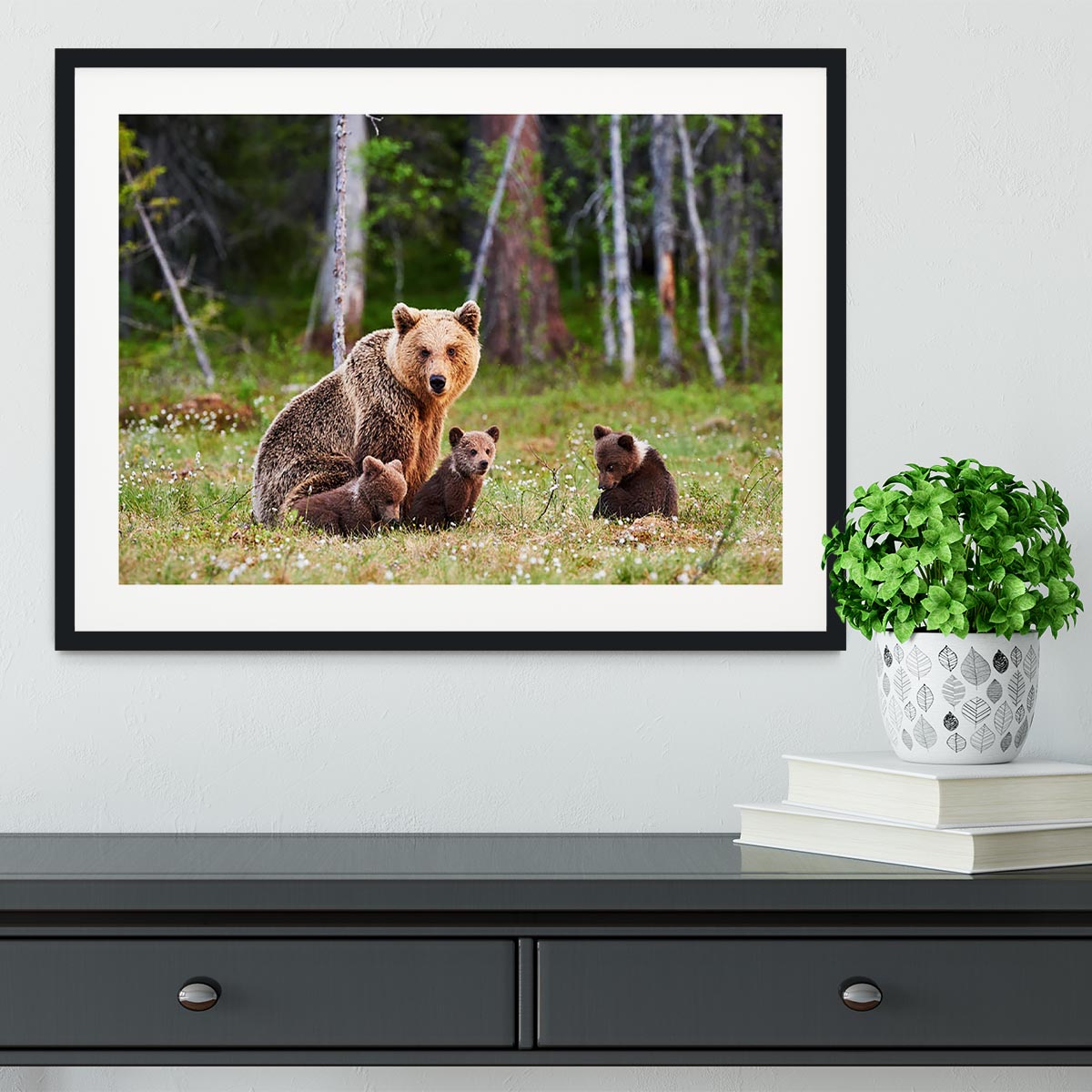Brown mother bear protecting her cubs Framed Print - Canvas Art Rocks - 1