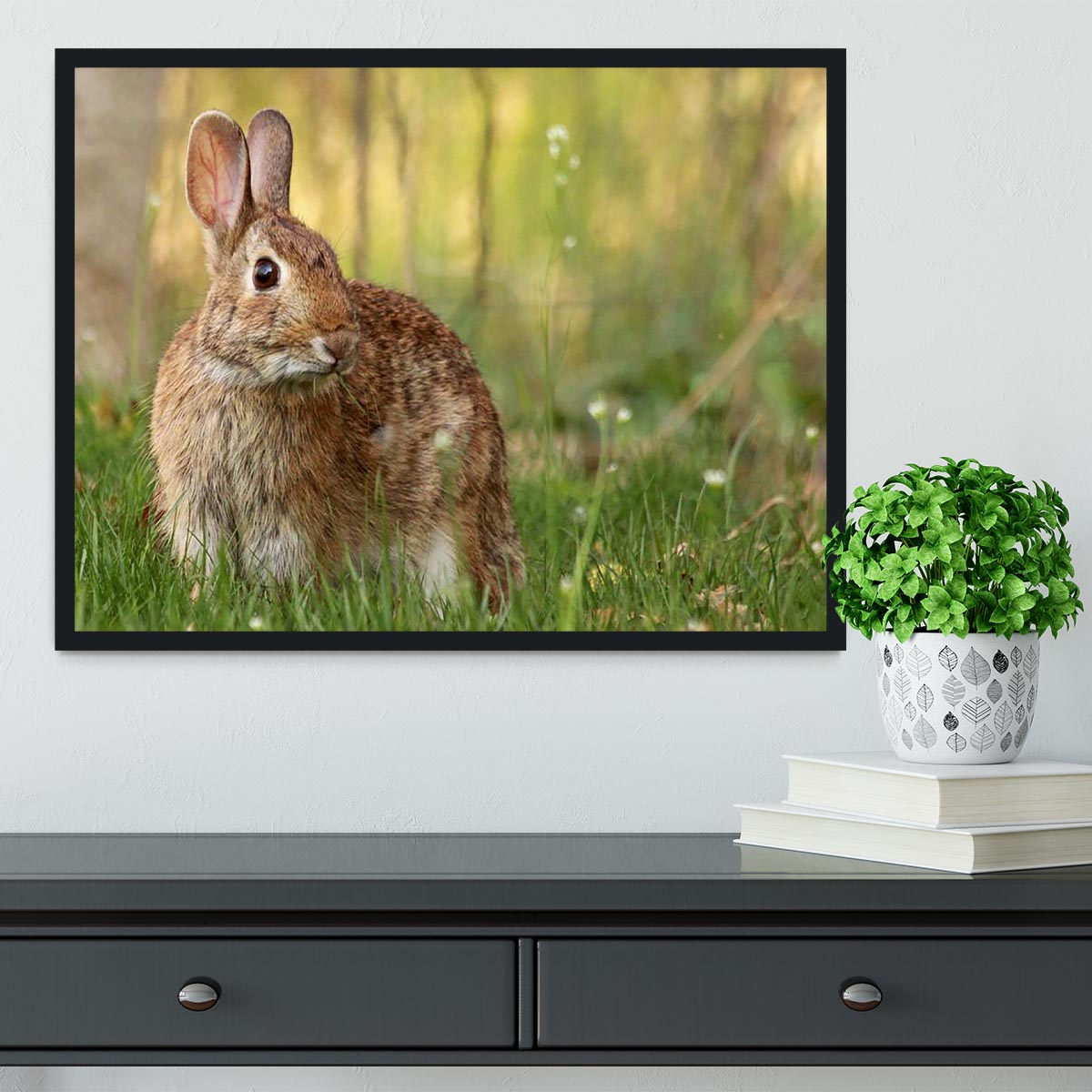 Brown rabbit looking into the camera Framed Print - Canvas Art Rocks - 2
