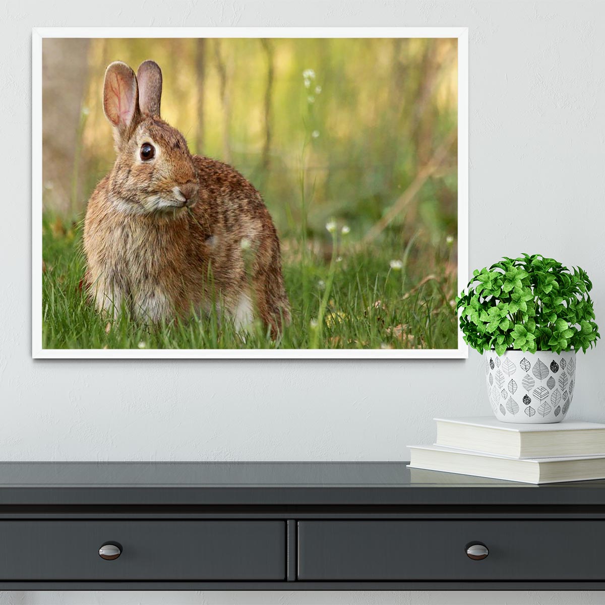 Brown rabbit looking into the camera Framed Print - Canvas Art Rocks -6
