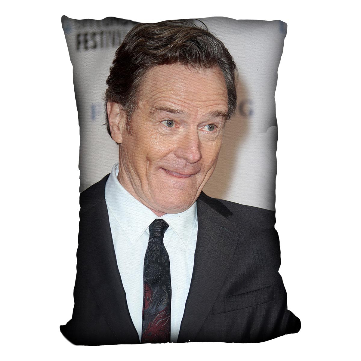 Bryan Cranston pensive Cushion