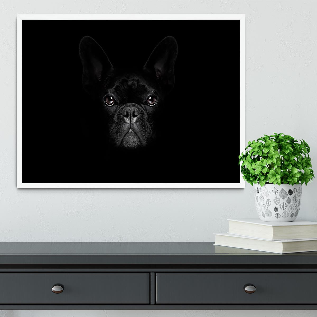 Bulldog dog Framed Print - Canvas Art Rocks -6