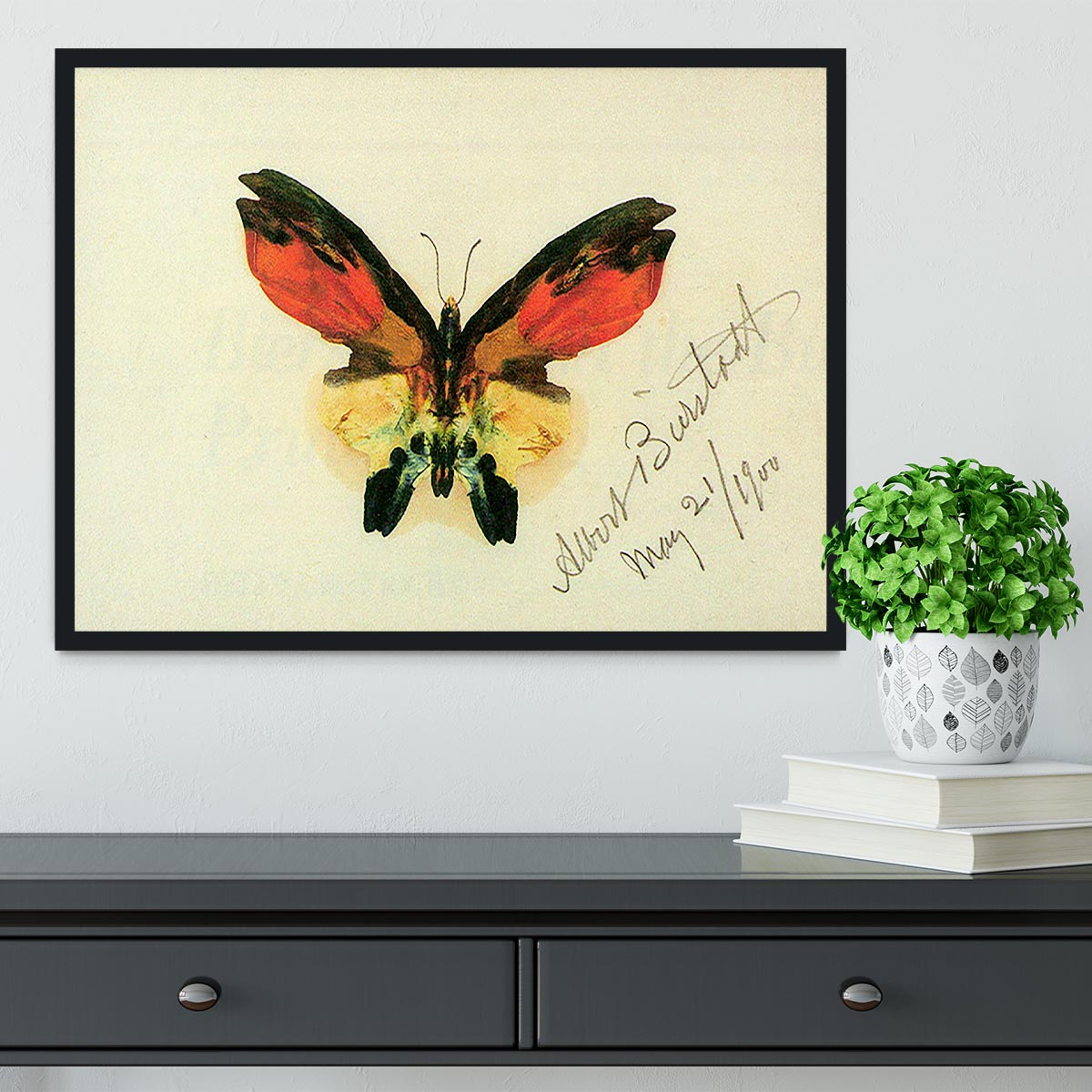 Butterfly 2 by Bierstadt Framed Print - Canvas Art Rocks - 2