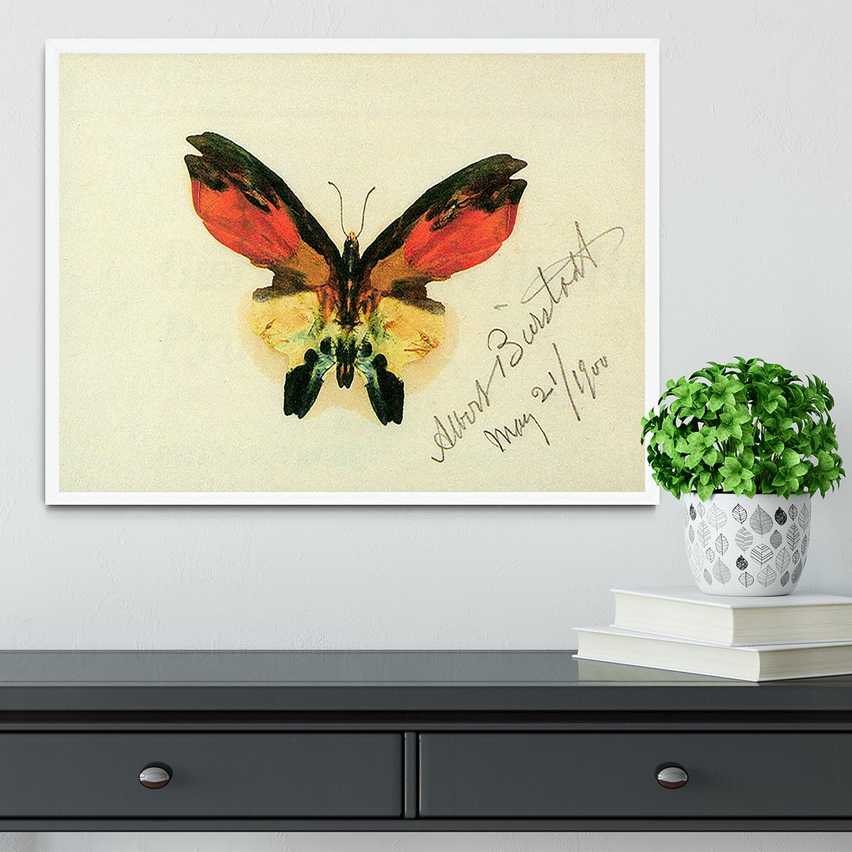 Butterfly 2 by Bierstadt Framed Print - Canvas Art Rocks -6