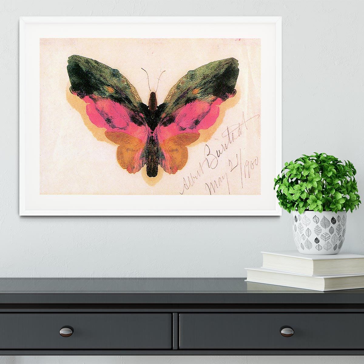 Butterfly by Bierstadt Framed Print - Canvas Art Rocks - 5