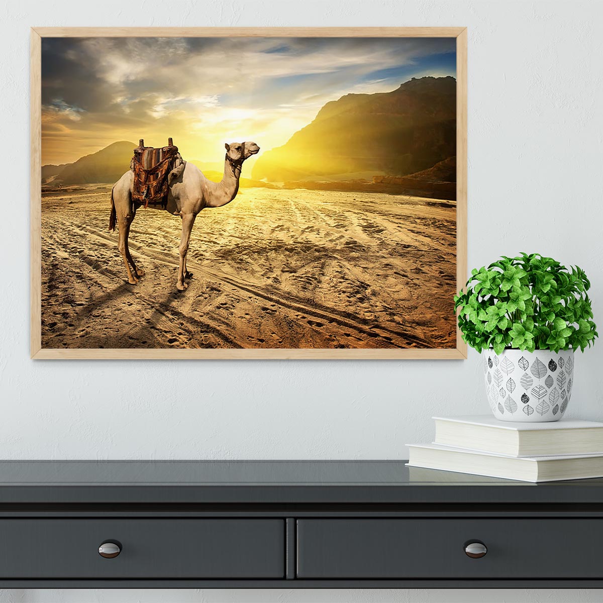 Camel in sandy desert near mountains at sunset Framed Print - Canvas Art Rocks - 4