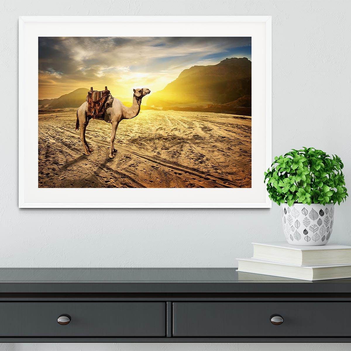 Camel in sandy desert near mountains at sunset Framed Print - Canvas Art Rocks - 5