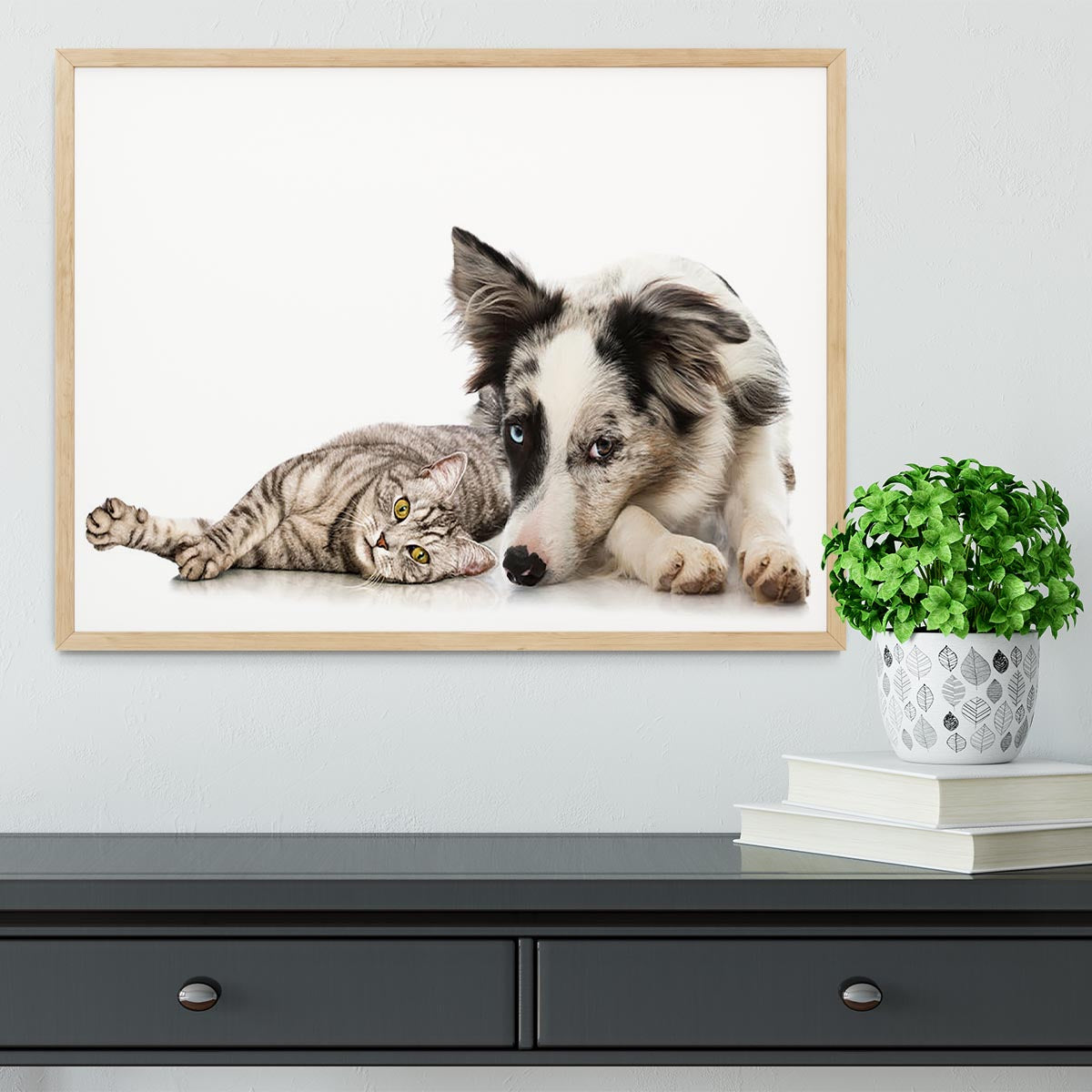 Cat and dog Framed Print - Canvas Art Rocks - 4