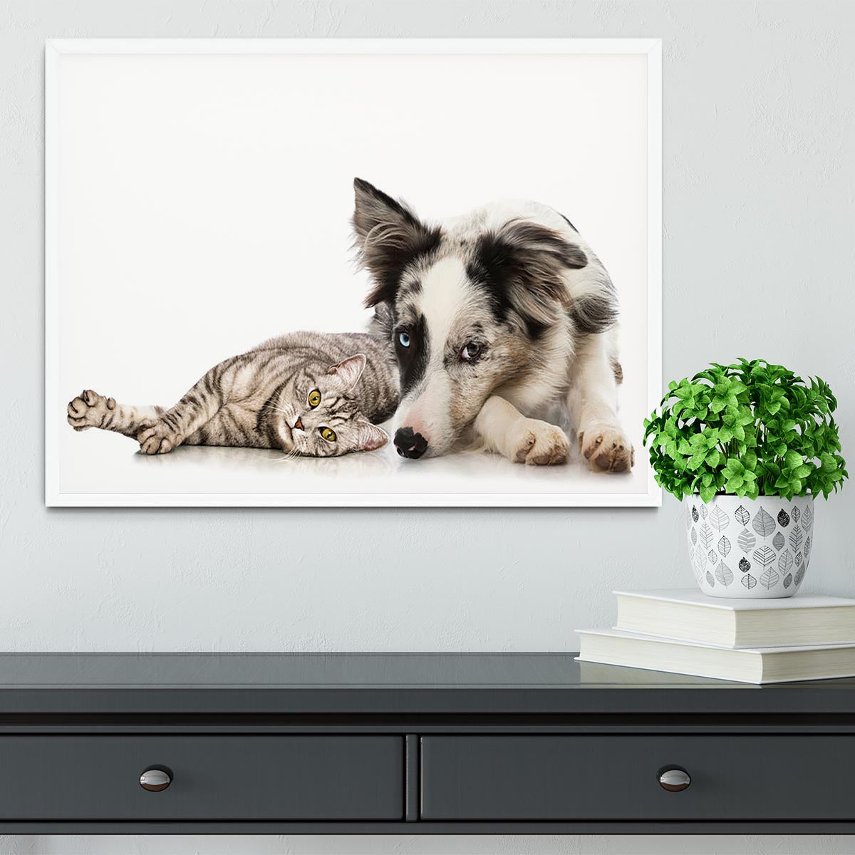 Cat and dog Framed Print - Canvas Art Rocks -6