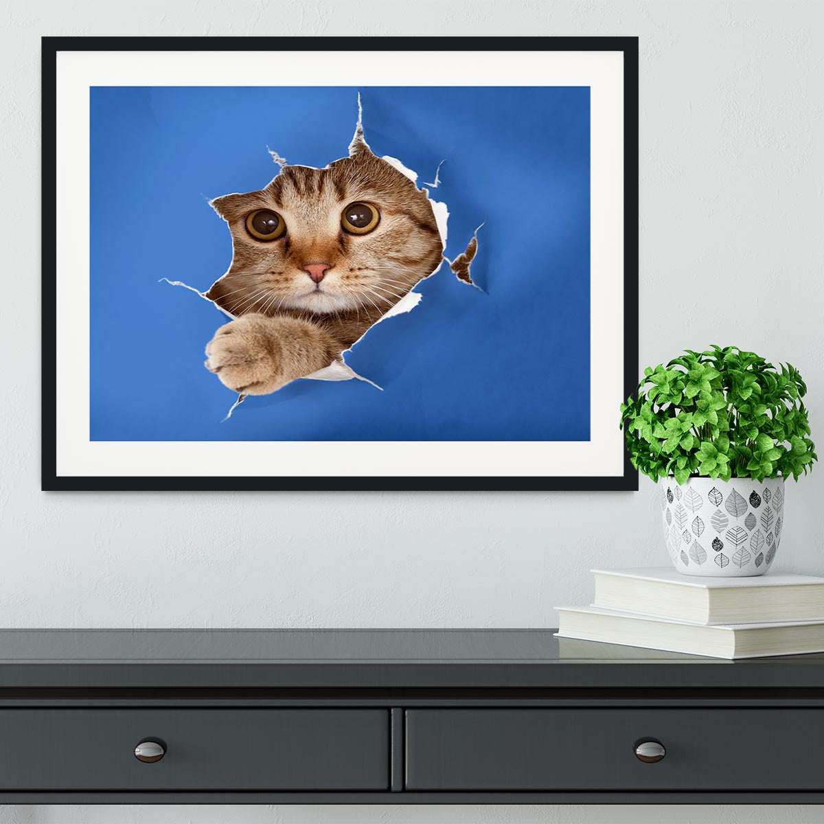 Cat in blue chromakey paper hole Framed Print - Canvas Art Rocks - 1